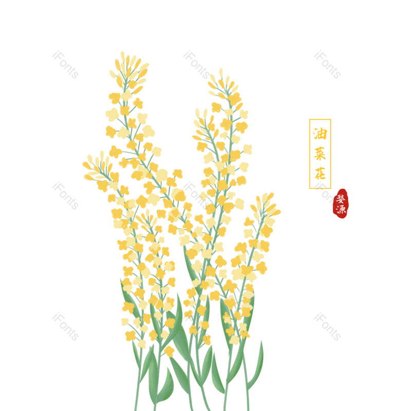 素材图片,花朵元素,春季PNG,春天免抠素材